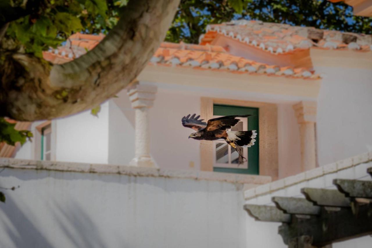 Quinta Da Foz Villa Foz do Arelho Exterior foto
